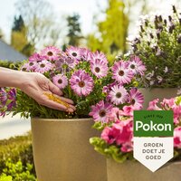 Pokon langwerkend strooibus 800 gram - afbeelding 2