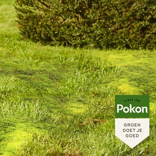 Pokon mos weg 875 gram - afbeelding 2