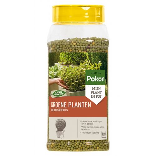 Pokon voedingskorrels groene planten 800 gram