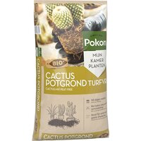 Pokon cactus grond turfvrij 5 liter - afbeelding 1