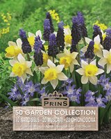 Prins garden collectie 50 bollen