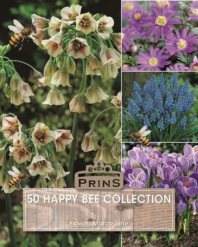 Prins Happy bee collectie 50 bollen