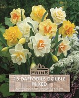 Prins Narcis daffodils double mix 15 bollen