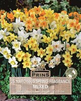 NARCIS SPRING FRAGRANCE