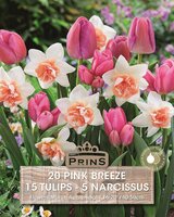 Prins tulp en narcis pink breeze 20 bollen