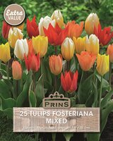 Prins tulpen fosteriana mix 25 bollen