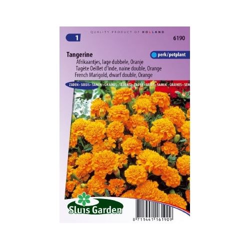 Tagetes Patula zaden Tangerine afrikaantje