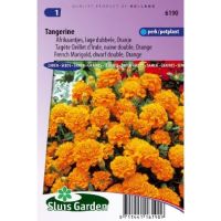 Tagetes Patula zaden Tangerine afrikaantje