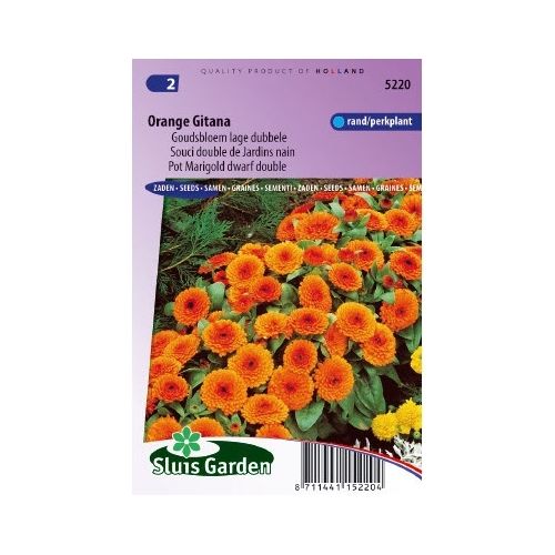 Calendula Officinalis zaden Orange Gitana goudsbloem