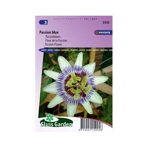 Passiflora Coerulea zaden Passion Blue passiebloem