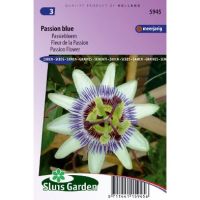 Passiflora Coerulea zaden Passion Blue passiebloem