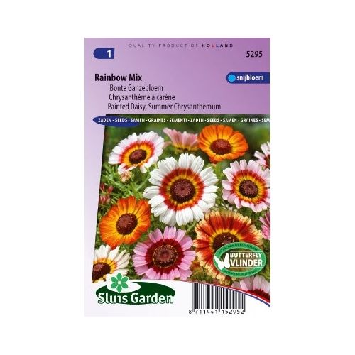 Chrysanthemum zaden Rainbow mix Margriet