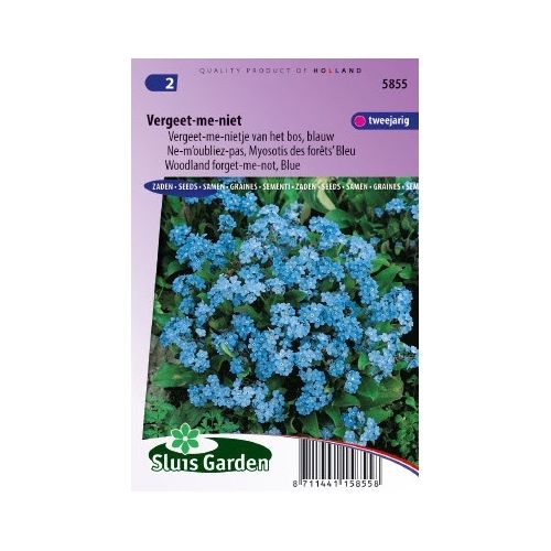 Myosotis Indigo zaden Vergeet-Mij-Niet blauw