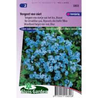 Myosotis Indigo zaden Vergeet-Mij-Niet blauw