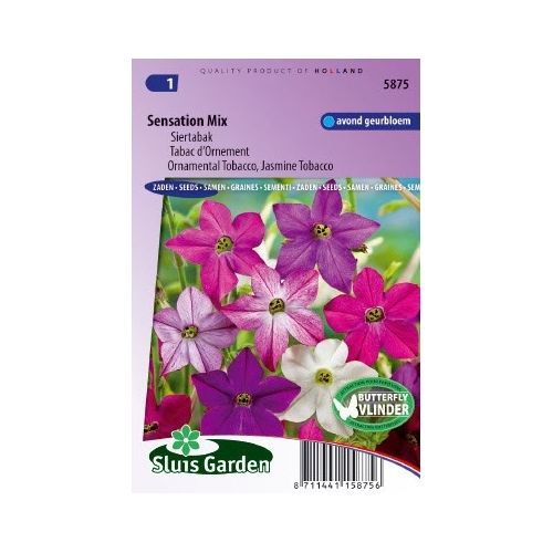 Nicotiana Alata zaden Sensation Mix siertabak