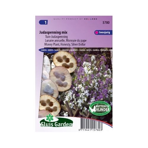 Lunaria Annua zaden Judaspenning Mix tuin