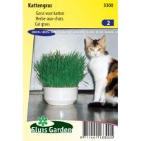 Kattengras zaden