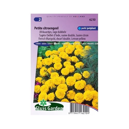 Tagetes Patula zaden Petite Yellow afrikaantje