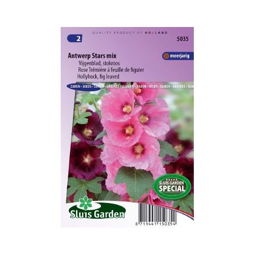 Alcea Ficifolia stokroos zaden Antwerp Stars