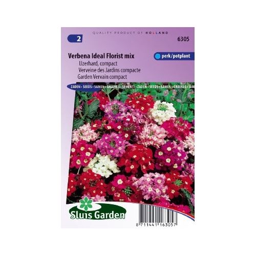 Verbena zaden Ideal Florist Mix ijzerhard