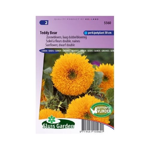 Helianthus Annuus zaden Teddy Bear zonnebloem