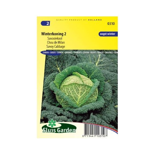 Savooiekool zaden Winterkoning 2