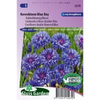 Centaurea Cyanus zaden Korenbloem Blue Boy