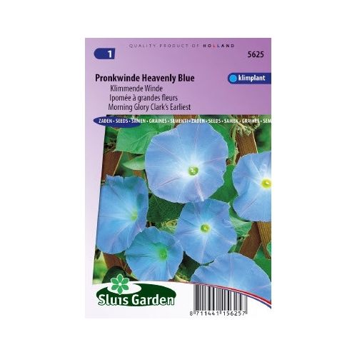 Ipomoea Tricolor zaden Heavenly Blue klimmende winde