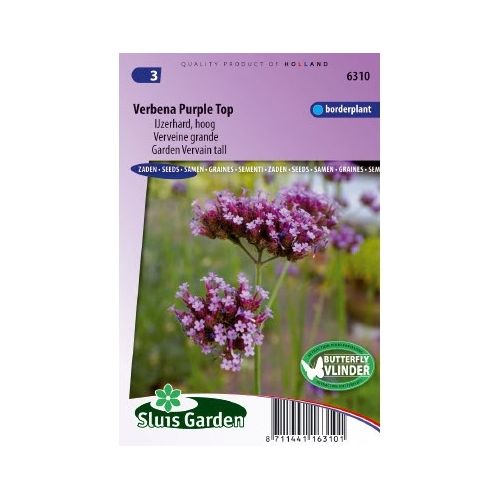 Verbena Bonariensis zaden Purple Top ijzerhard