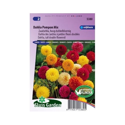 Dahlia Variabilis zaden Pompon mix