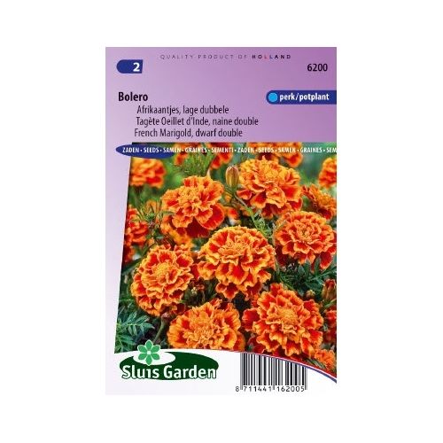 Tagetes Patula zaden Bolero afrikaantje