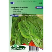 Zuring zaden Green de Belleville rumex