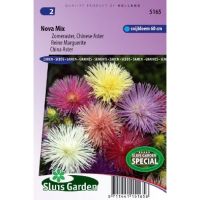 Callistephus Chinensis zaden Nova aster mix