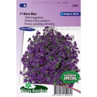 Petunia Hybrida zaden F1 Wave Blue