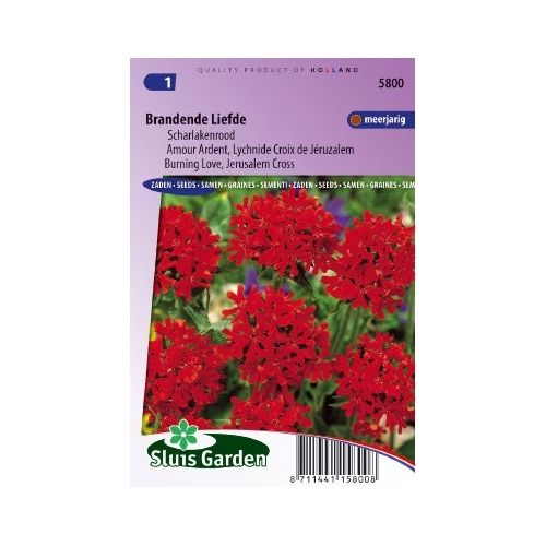 Lychnis Chalcedonica zaden Brandende Liefde