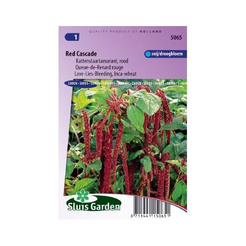 Amaranthus Caudatus zaden Red Cascade