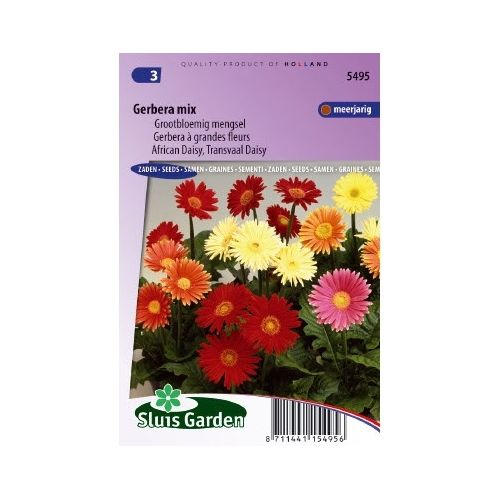 Gerbera Jamesonii zaden Choice mix