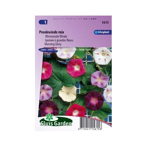 Ipomoea Tricolor zaden Choice Mixed klimmende winde