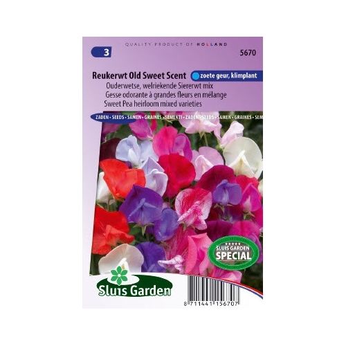 Lathyrus Odoratus zaden Old Sweet Scent reukerwt