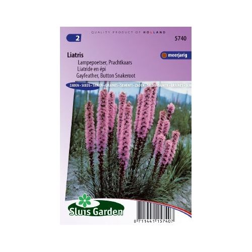 Liatris Spicata zaden Lampepoetser Prachtkaars