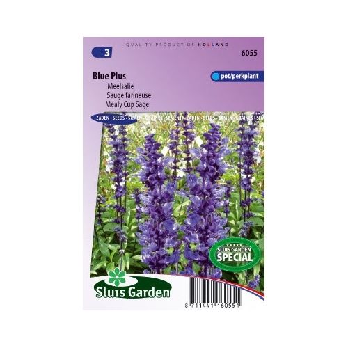 Salvia Farinacea zaden Blue Plus meelsalie