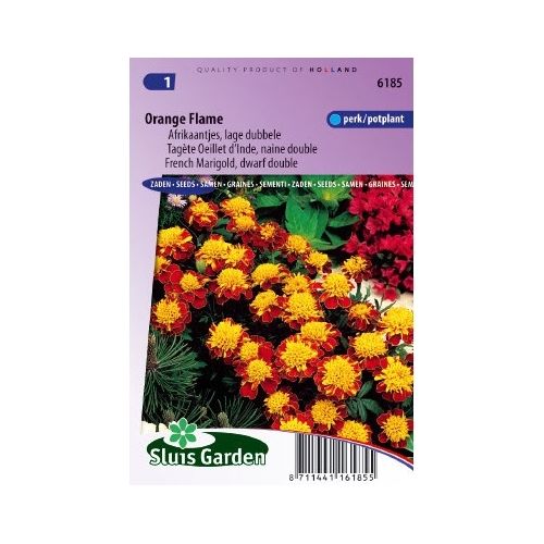 Tagetes Patula zaden Orange Flame afrikaan