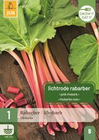 Rabarber Victoria