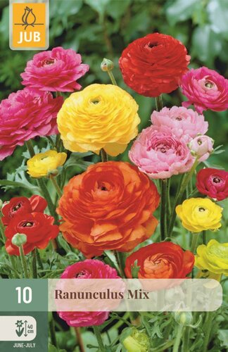 Ranunculus mix 10 knollen