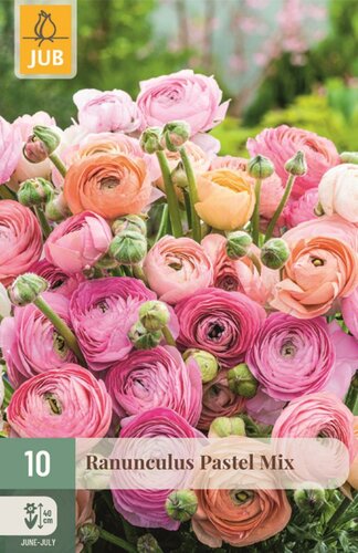 Ranunculus Pastel Mix 10 knollen