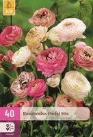 Ranunculus Pastel Mix 40 knollen
