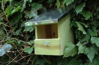 Roodborst nestkast vogelhuisje - afbeelding 2