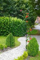 Nature rozenboog 240 cm groen - afbeelding 2