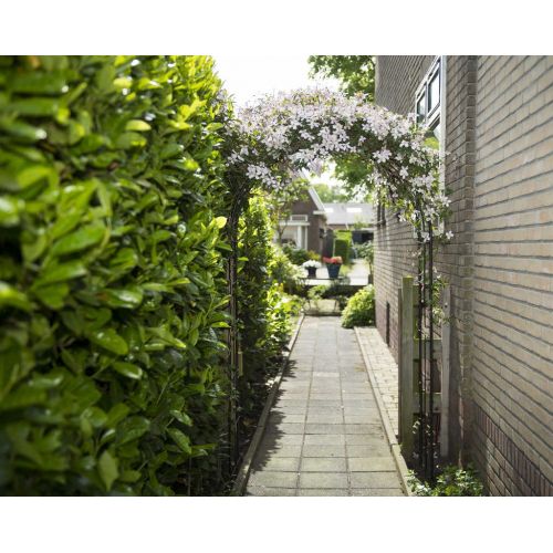 Nature rozenboog metaal zwart 229 cm - afbeelding 2