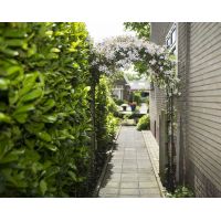 Nature rozenboog metaal zwart 229 cm - afbeelding 2